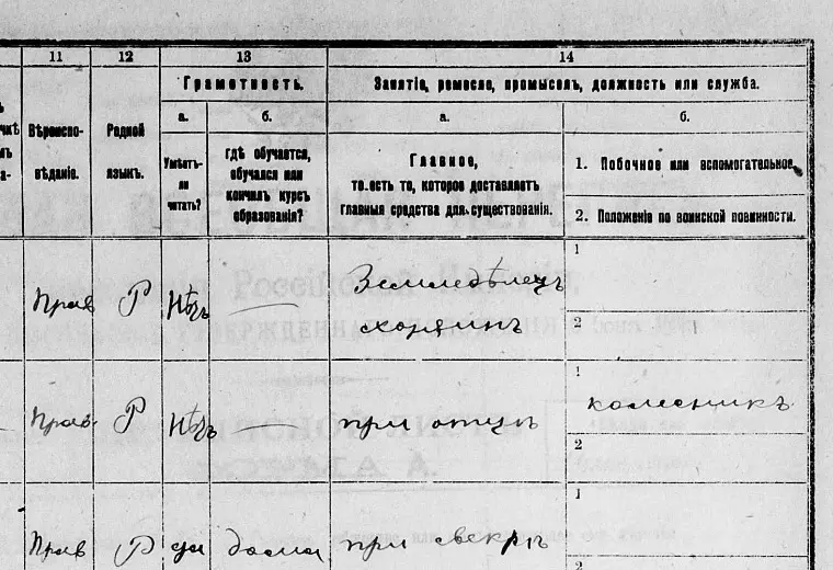 Фрагмент переписи 1897 года: в графе занятия Анисима Семёновича записано «колесник»